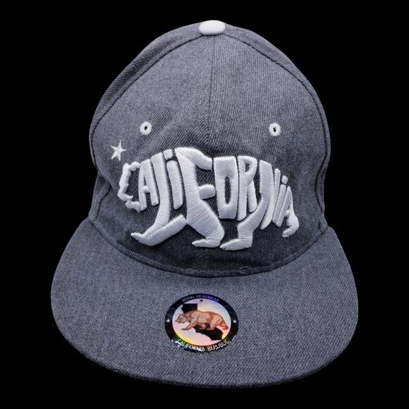 CALIFORNIA REPUBLIC Brand California Bear Embroidered Snapback Gray Cap - Picture 3 of 11